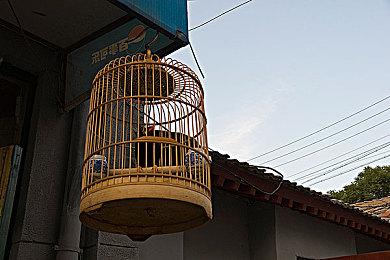 《逆水寒》“网易魔兽老兵服”开放预创角色 1月13日上线